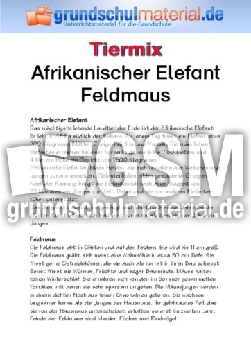 Afrikanischer Elefant - Feldmaus.pdf